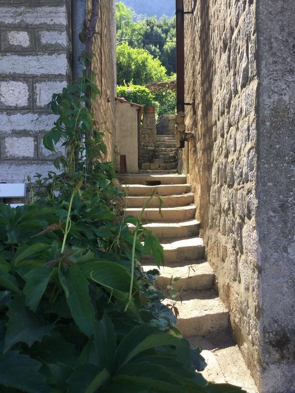 Seven Hills Duplex Eco-Cottage Kotor Extérieur photo